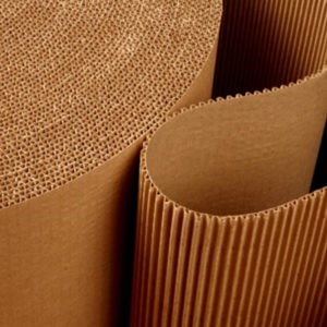CARTON CORRUGADO
